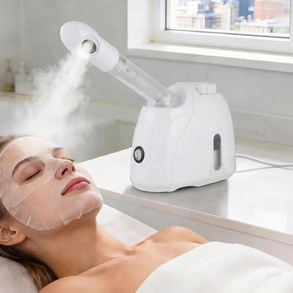 Face steamer